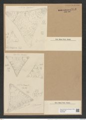 Triceratium dobreeanum var. nova-zelandicum Gr. et Sturt (de-Toni-Nr.: Genus 140, Species 3759) Zeichnungen Sammlung Grunow Nr. 7275 (NHMW-BOT-W0376289)